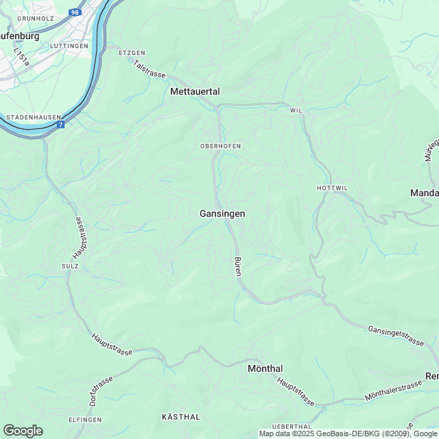 unverbaubare Fernsicht & naturnahes Wohnen - Wohnen am Breitenweg in Gansingen - undefined