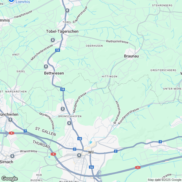 Zu verkaufen grosszügige 4½ Zi.-Wohnung in 9552 Maugwil (Steuerfuss 9500 Wil) - Karte