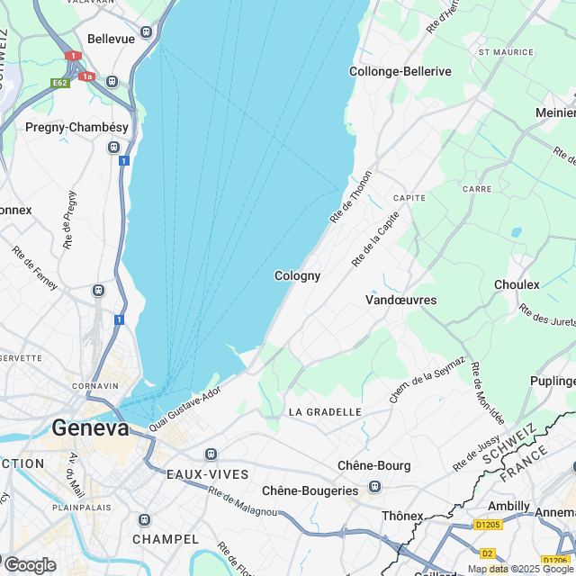 Exklusives Projekt: Außergewöhnliches Anwesen in Cologny - undefined