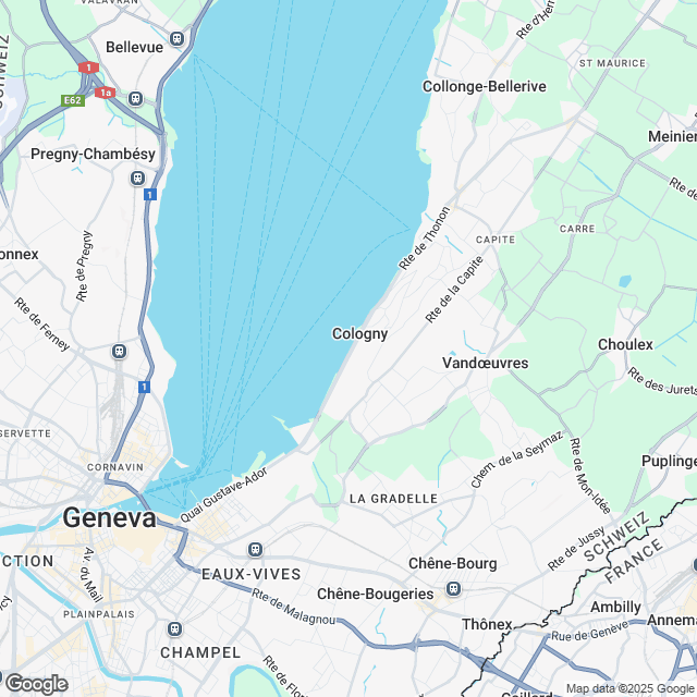 Villa Serenya A: Projekt von 3 Villen hochwertiger Ausführung in Cologny - undefined