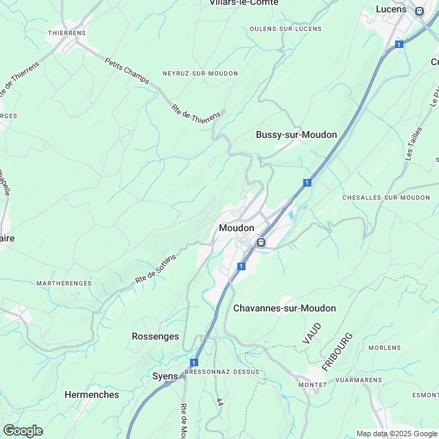 Hervorragende 3,5-Zimmer-Wohnung mit Garten und Terrasse - Moudon (Stadtteil Saint-Michel) - undefined