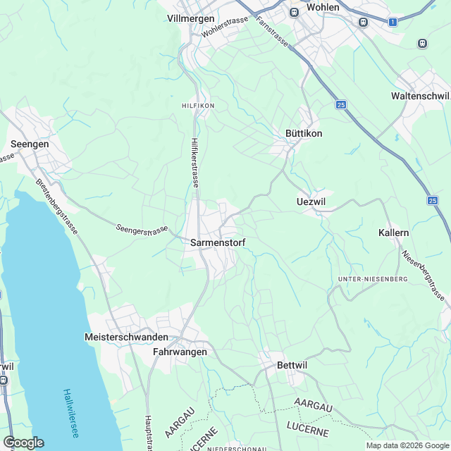 4 exklusive Doppelhaushälften in Sarmenstorf - Karte