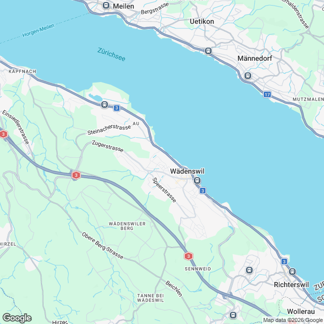 22 moderne Eigentumswohngen in Wädenswil - Karte