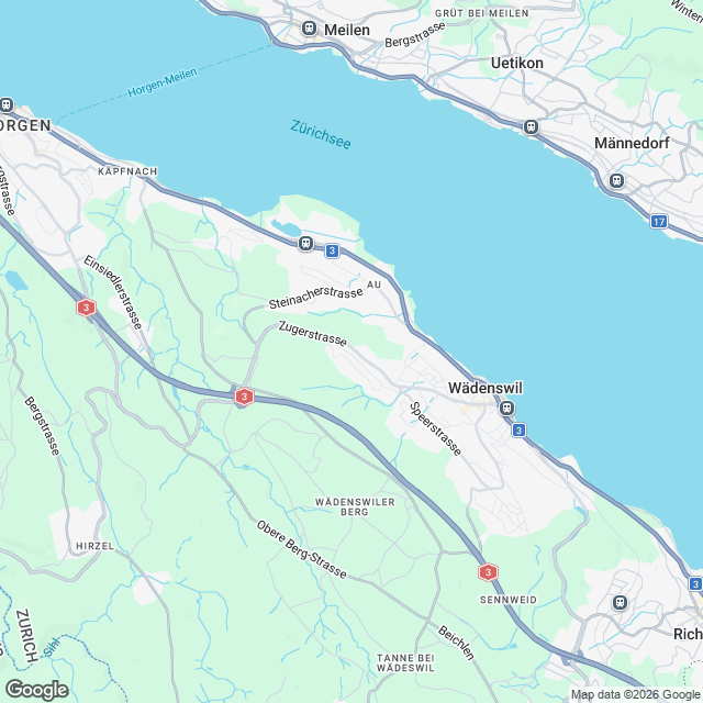 Grosszügige 1.5-Zimmer Studiowohnung in Wädenswil - Karte