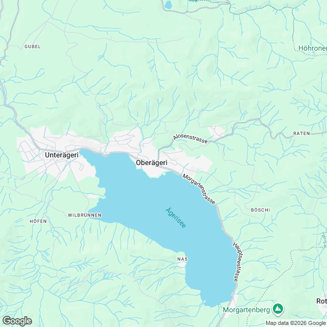 7 moderne Eigentumswohnungen in Oberägeri - Karte