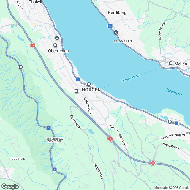 5 stilvolle Eigentumswohnungen in Horgen - Karte
