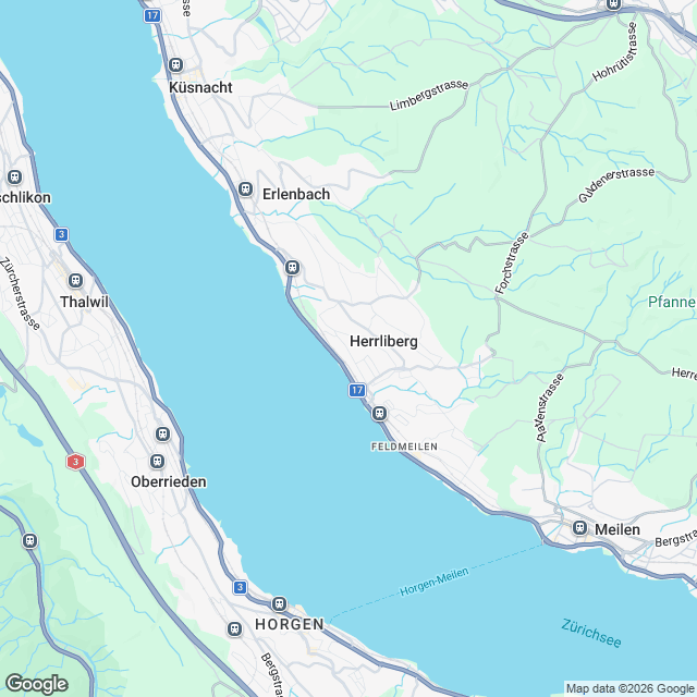 Eigentumswohnungen mit Seesicht in Herrliberg - undefined