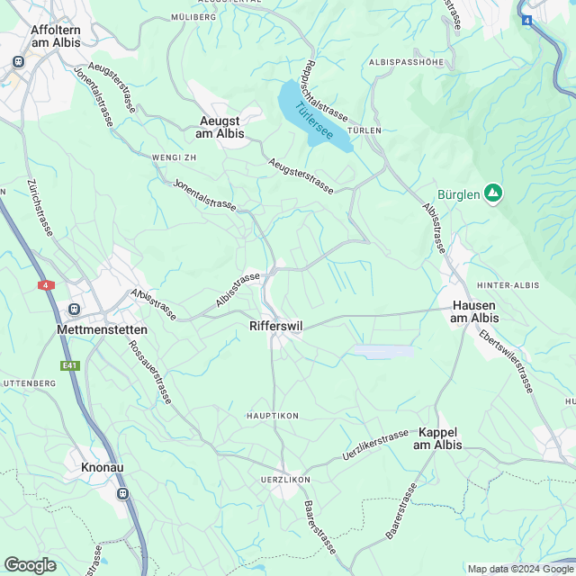 Projektankündigung Wohneigentum in Rifferswil - Karte