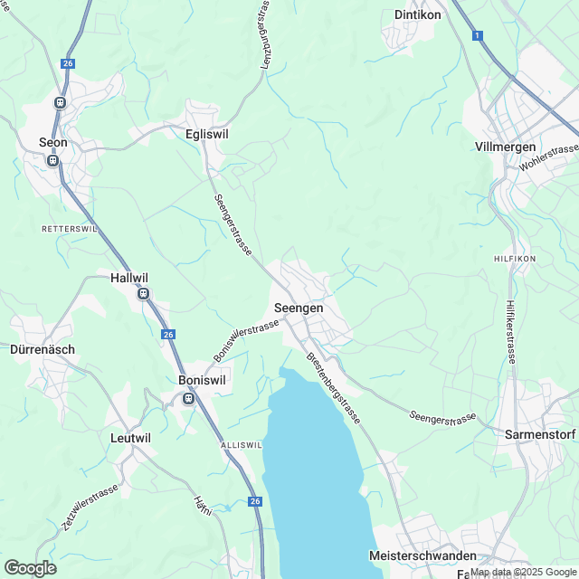 Seengen: 4 Einfamilienhäuser mit Garten und Tiefgarage, EFH 3 - Karte