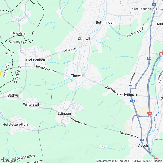 Ankündigung Eigentumswohnungen in Therwil - Karte
