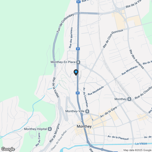 Apartment for sale, Avenue de France 59, in Monthey, Switzerland - Karte
