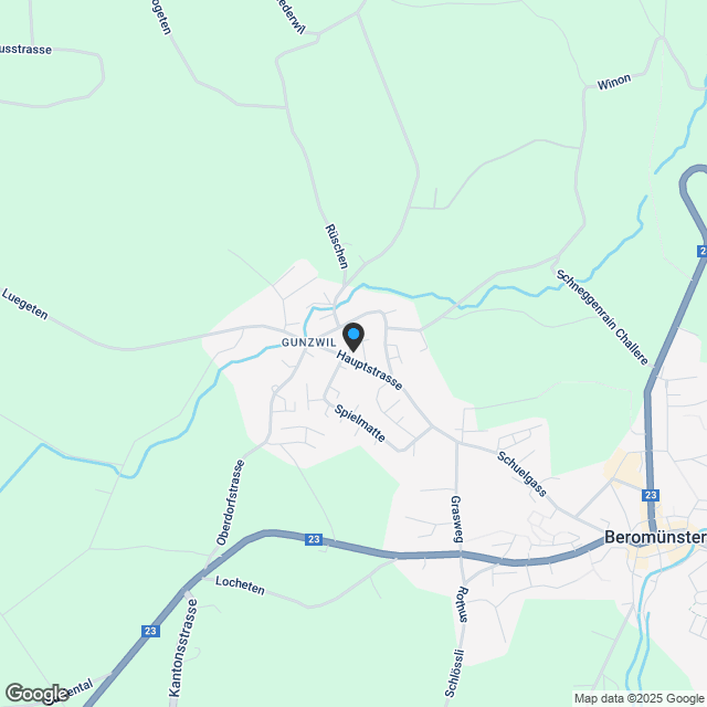 Wohnen am Lindenbaum in Gunzwil - Karte