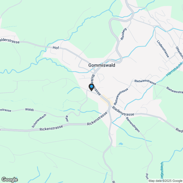 Luxuriöse Neubauwohnung in Gommiswald - Karte