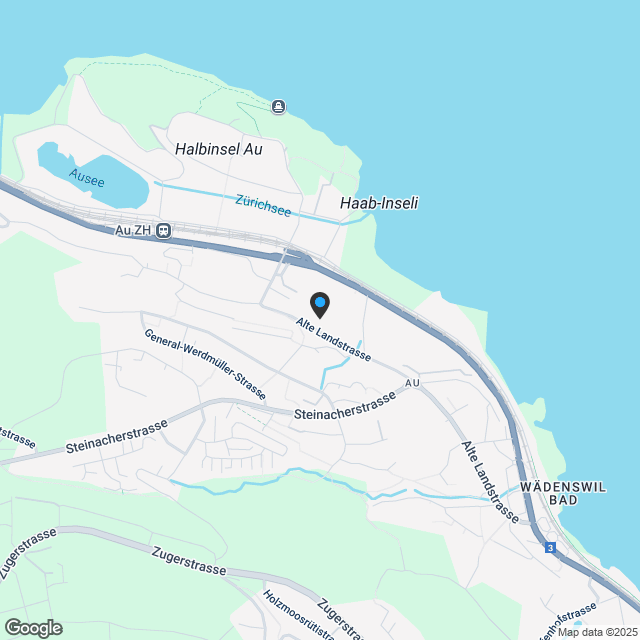 4.5 Zimmerwohnung in Au Wädenswil - Karte