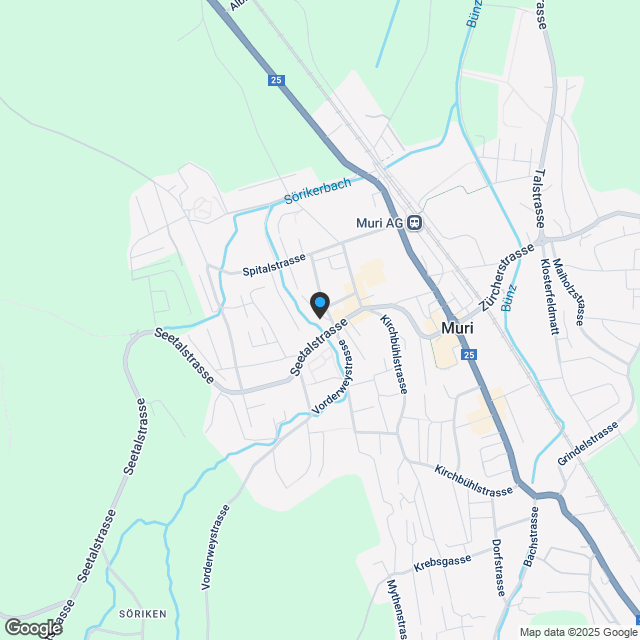 Neubau DEFH 101 Regliweg 1a, 5630 Muri - Karte