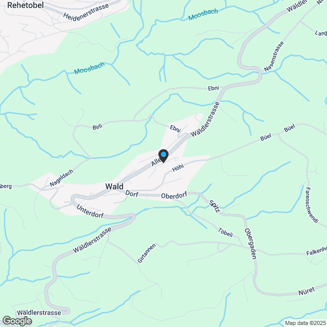 Apartment for sale, Allee, in Wald, Switzerland - Karte