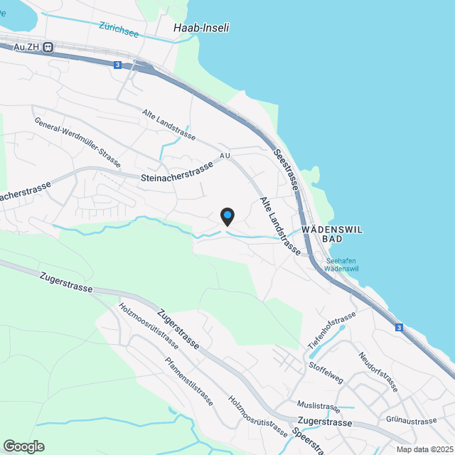 Exklusive Eigentumswohnungen in Au-Wädenswil - Karte