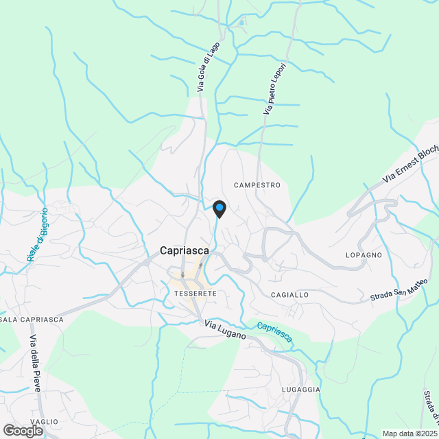 NUOVO APPARTAMENTO 2.5 LOCALI AL PIANO TERRA A TESSERETE - Karte