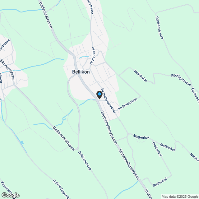 Gehobene 6.5-Zimmer mit grossem Garten in Bellikon - Karte