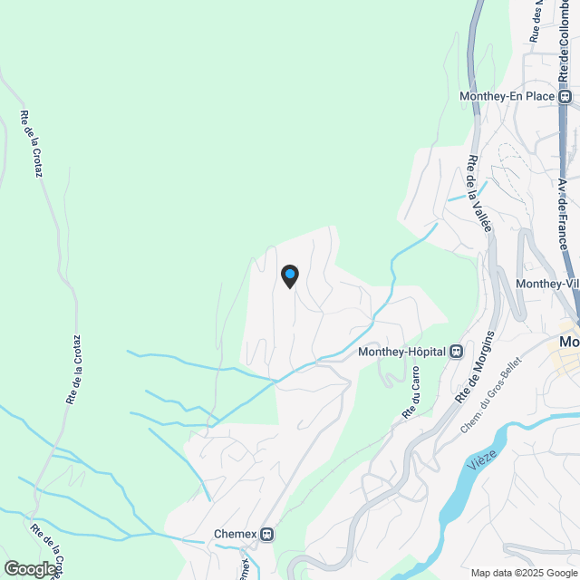 4,5-Zimmer-Villa in Les Neyres - Karte