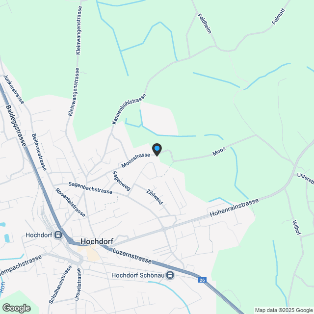 Eigentumswohnungen in Hochdorf - Karte