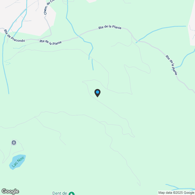 4,5 Zimmer Wohnung - Haute-Nendaz - Karte