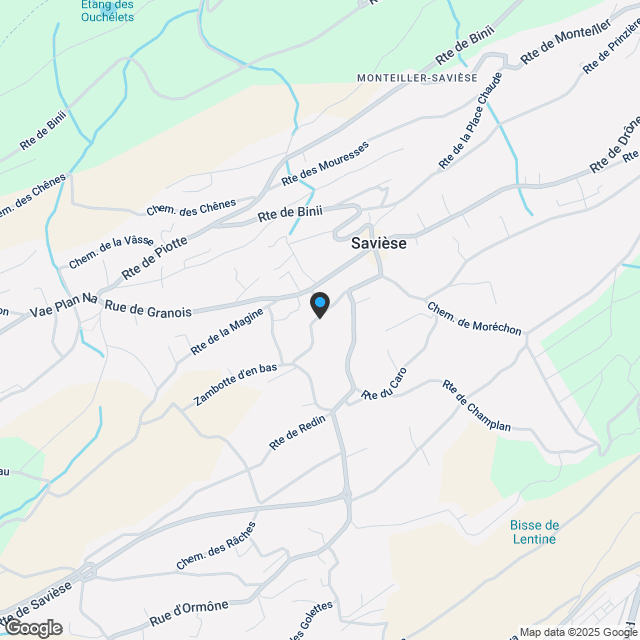 Nouveauté - Centre de Savièse - Karte