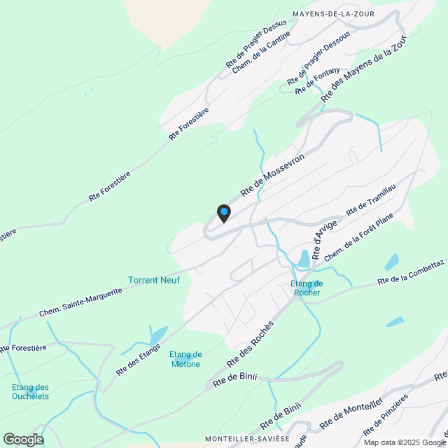 6 ½ Zimmer-Haus in Savièse kaufen - Karte