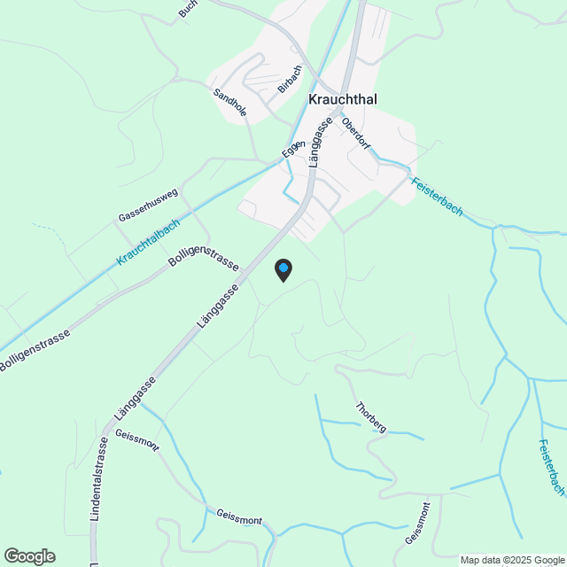 Modernes 5.5 Zimmer-Einfamilienhaus in Holzbauweise – nachhaltig & stilvoll - Karte