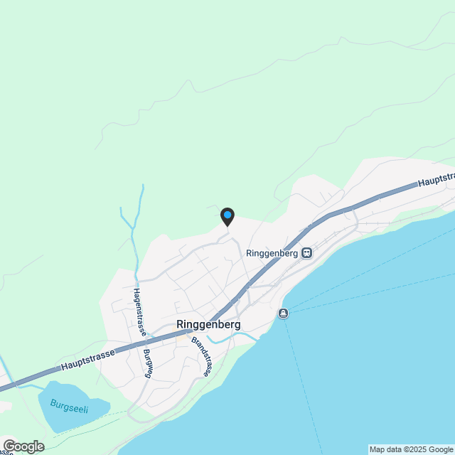 Traumhaus am Brienzersee mit 3.5-Zi-Wohnung, Lift und Panorama! - Karte