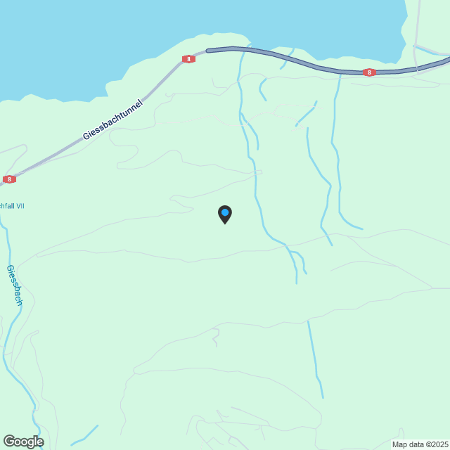 VERTRAULICHE AUKTION AUF DEM BRIENZERSEE - Karte