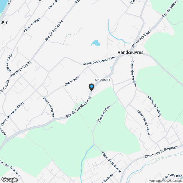 Hervorragende 5-Zimmer-Wohnung im Erdgeschoss in Vandoeuvres - Karte