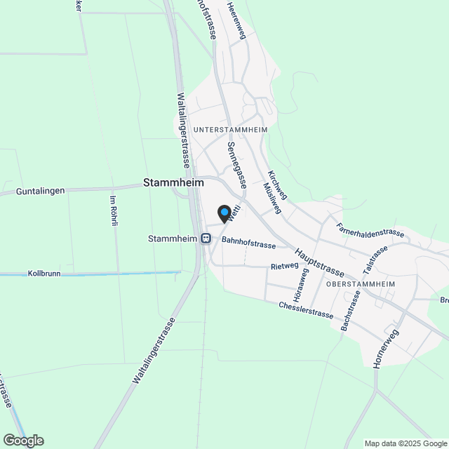 Doppeleinfamilienhaus «Struppler» - Karte