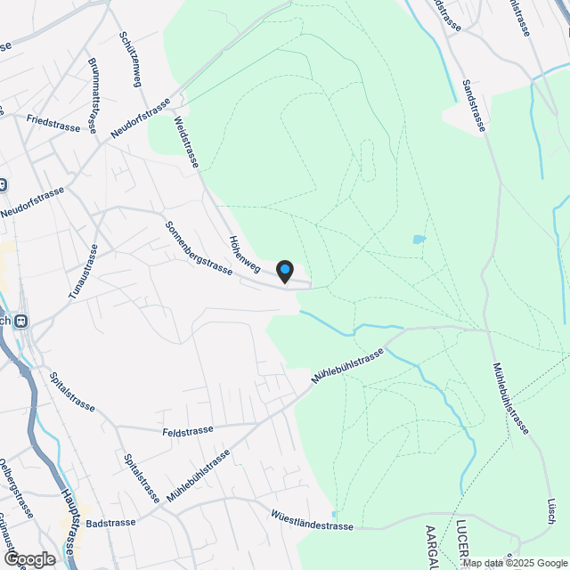 NEUBAU-JUWEL: 4.5-Zi.-Wohnung mit grosser Sonnenterrasse - Karte