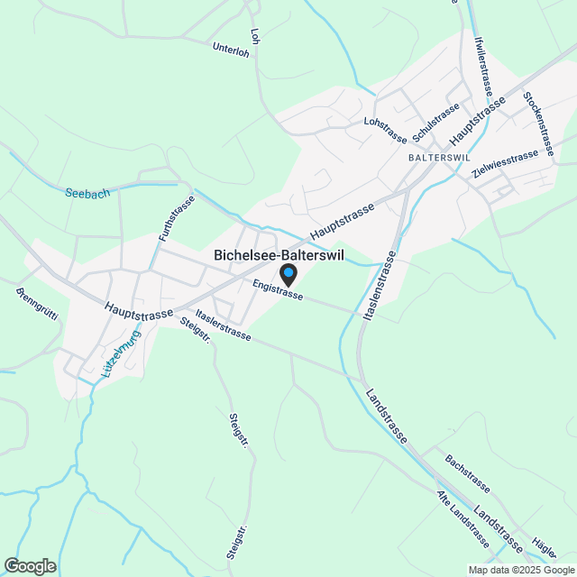 Weitsicht & Idylle- modernes Doppelfamilienhaus in Bichelsee - Karte