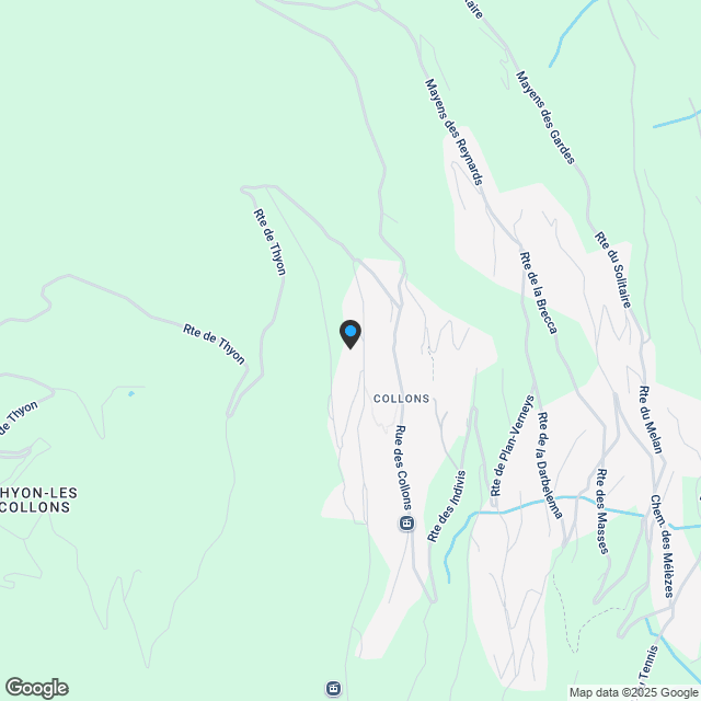 Appartement 3.5 Pièces - Les Masses - Karte