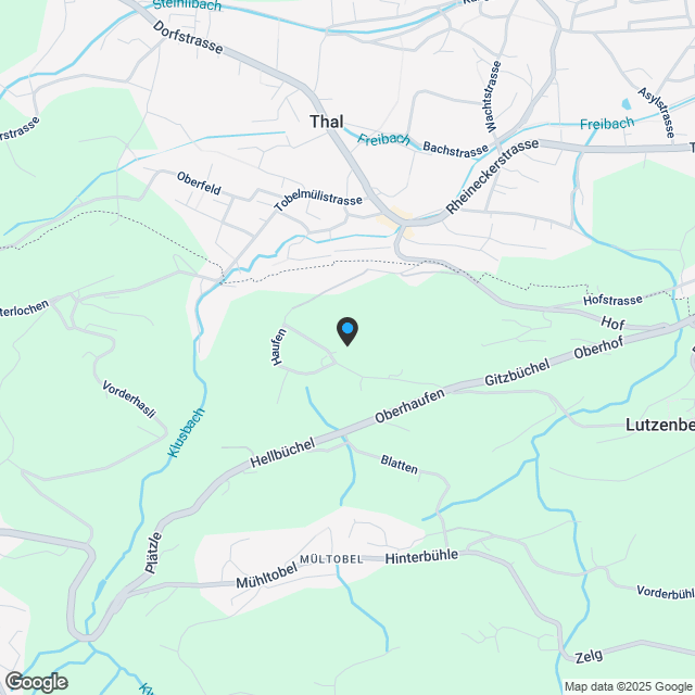 Neubau - 2.5-Zimmerwohnung im "Appenzellerholz"-Haus - Karte