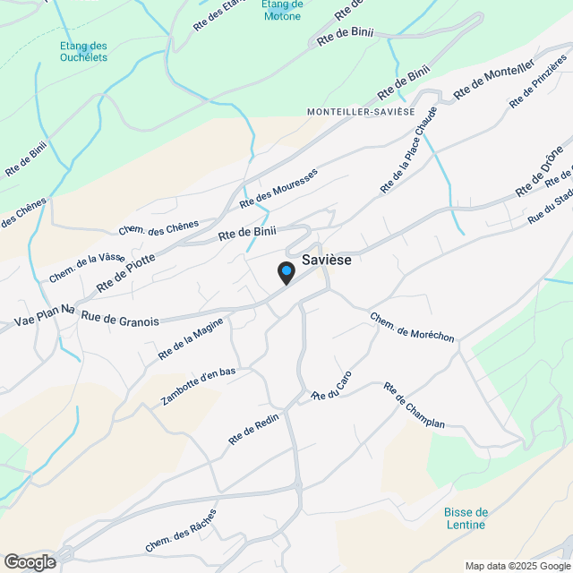 SAVIESE ZENTRUM - NEUE PROMOTION - Karte