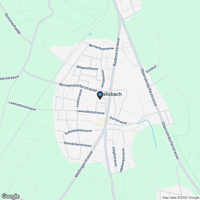 Seniorenwohnung im Herzen von Fislisbach - Karte