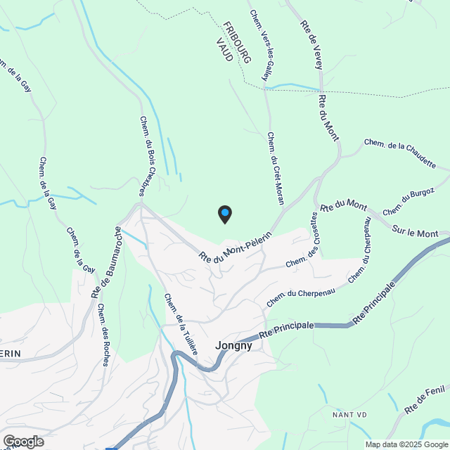 Neue 4,5-Zimmer-Penthouse-Wohnung mit Zwischengeschoss und spektakulärem Seeblick zum Verkauf in Jongny - Los D2 - Karte