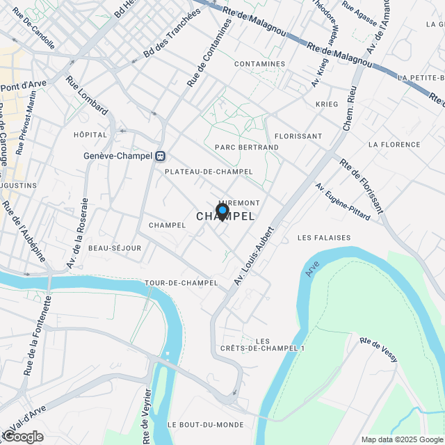 NEU - 5,5 Zimmer Dachgeschoss-Duplex Champel_C2 - Karte