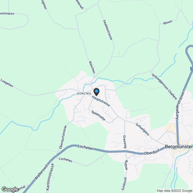 Letzte grosszügige Eigentumswohnung - Karte