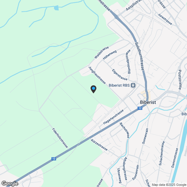 Exklusive Designerwohnung mit Traumterrasse & Garten - Neubau in Biberist - Karte