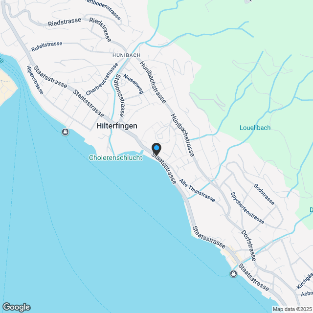 «Bächi» Hünibach - exklusive, moderne Gartenwohnung am Hünibach - Karte