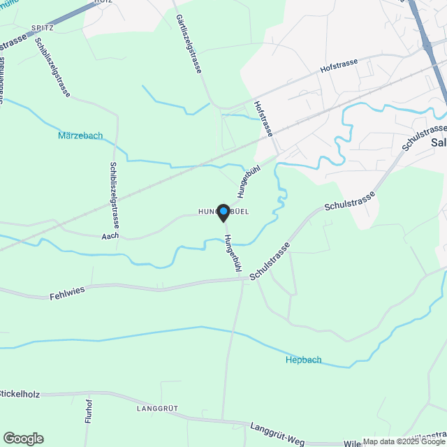 5 Zimmer Einfamilienhäuser in Salmsach - Karte