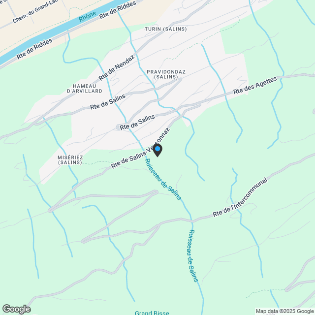 2 ½ Zimmer-Wohnung in Salins kaufen - Karte