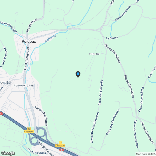 Wohnungen zum Verkauf in Puidoux, Puidoux, Schweiz - Karte