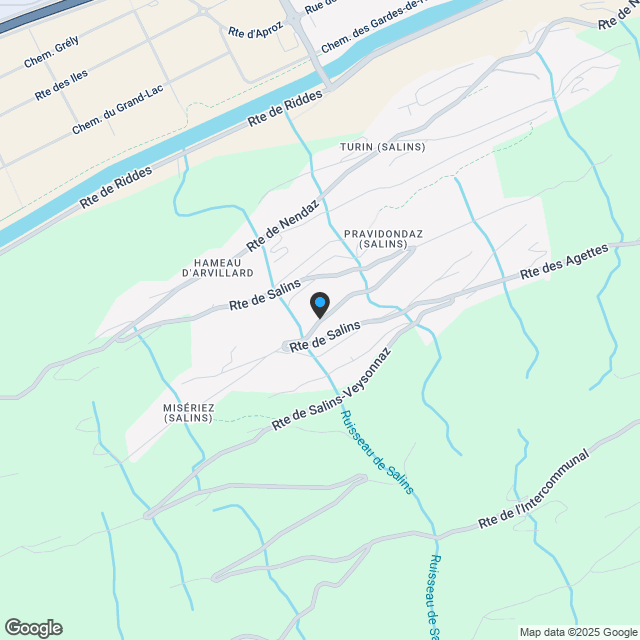 Wohnung zu verkaufen, Turin (Salins), in Sion, Schweiz - Karte