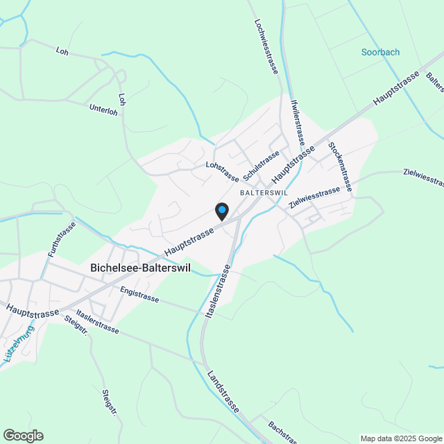 Ihr neues Zuhause in Balterswil - Idyllisch wohnen mit Komfort, Qualität und nachhaltiger Bauweise - Karte