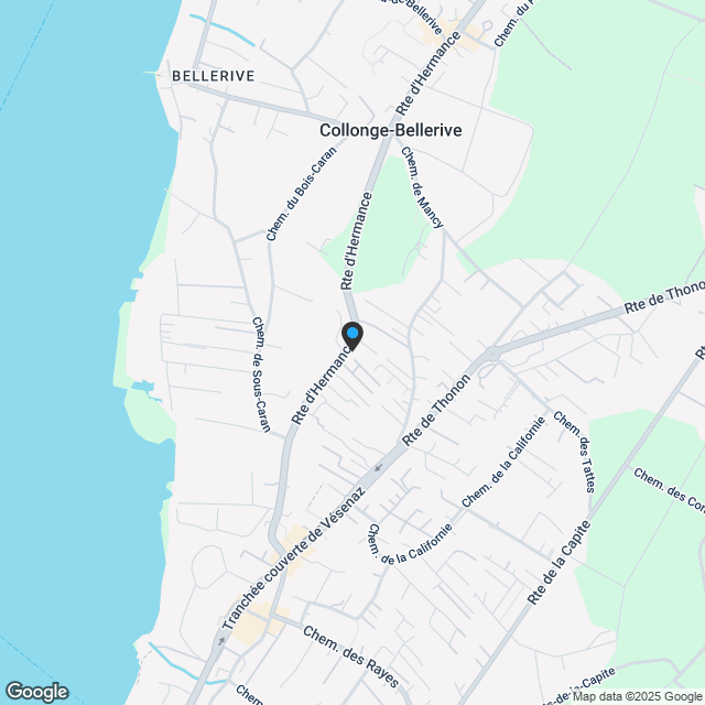 Domaine les Mirabelles, Collonge-Bellerive | 4 freistehende Villen - Karte